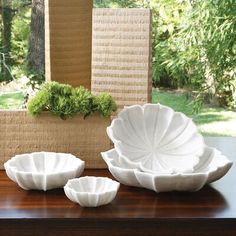 three white bowls sitting on top of a wooden table next to a potted plant