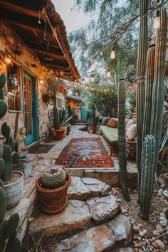 an outdoor area with cactus, rugs and potted cacti on the ground