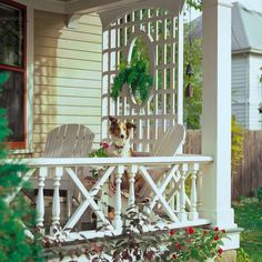 a small dog sitting on a porch next to a white chair and potted plant