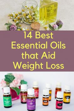 Lost 50 Pounds, Young Living Essential Oils Recipes, Essential Oil Carrier Oils, Cinnamon Essential Oil, Essential Oil Mixes