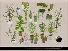 various types of house plants in pots