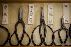 four pairs of scissors with chinese writing on them