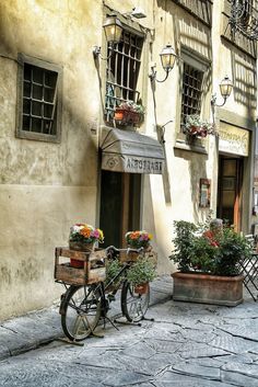 two bicycles parked next to each other in front of a building with potted plants