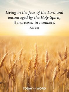 a wheat field with the words, living in the fear of the lord and encouraging by the