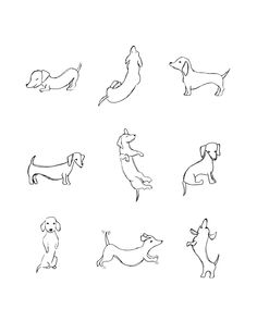 six different dogs are drawn in black and white, each with their own dog's tail