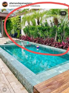 an empty swimming pool surrounded by greenery and wooden decking with a red circle around it