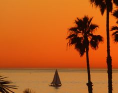 a sailboat in the ocean at sunset with palm trees and an orange sky behind it