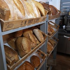 breads and loaves on shelves in a bakery