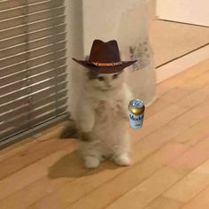 a white cat wearing a brown cowboy hat and holding a canned drink