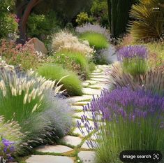 a garden with lots of different types of plants