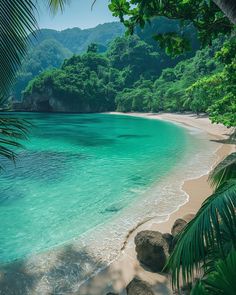 the beach is surrounded by trees and blue water, with rocks in the foreground