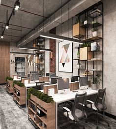 an office with multiple desks and open shelving on the wall, along with plants