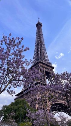 the eiffel tower is surrounded by purple flowers