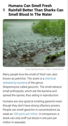 an article about humans can smell fresh water and other things that are in the water