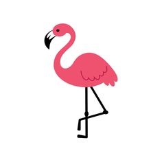 a pink flamingo standing on one leg