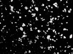 black and white photograph of snow flakes