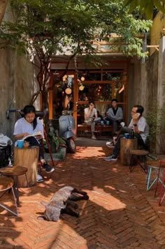 several people sitting on chairs in front of a building with an animal laying on the ground