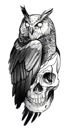 an owl sitting on top of a skull next to a human skull with its eyes closed