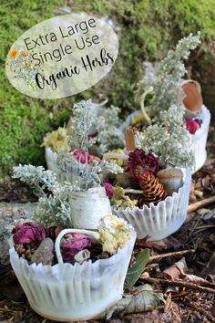 three white vases filled with flowers and plants on top of the ground next to rocks