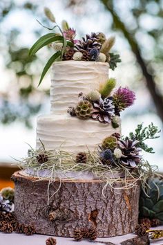 a wedding cake with pine cones and succulents