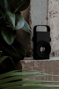 a black object sitting on top of a cement block next to a green leafy plant