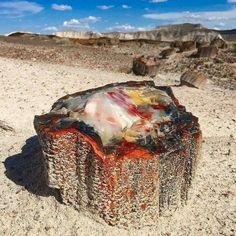 a piece of wood sitting on top of a sandy beach covered in dirt and rocks