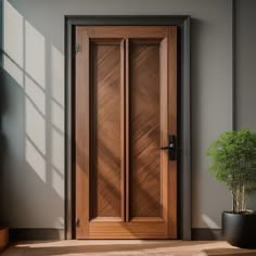 a wooden door with a potted plant in the corner next to it on a wood floor