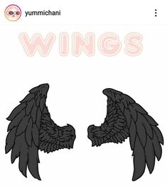 two black wings with the word wings on it's left and right side, in front