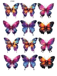 many different colored butterflies are shown in this image, one is purple and the other is orange