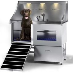 a dog is sitting in an oven with stairs leading up to the stove and sink