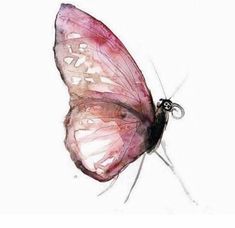 a pink butterfly sitting on top of a white surface