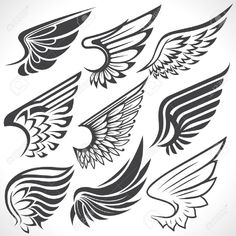 set of black and white wings with different shapes on the wings, for tattoo or other design