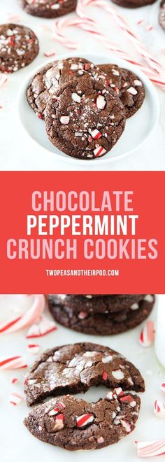 chocolate peppermint crunch cookies on a white plate