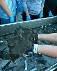 people standing around in front of a metal pan with an object on it's side