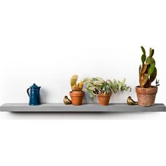 Lyon Beton Sliced Shelf - XL Concrete Shelf, Minimalist Toilets, Rare Cactus, Patterned Wallpaper, Pot Plants, Concrete Furniture, Diy Store, Concrete Color, Contemporary Room