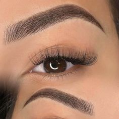 Eye Brow Tattoo Design, Eyebrow Shape And Tint, Brow Shading Tattoo, Eyebrow Shading Tattoo, Microshading Eyebrows Before And After, Tattoo Eyebrows Before And After, Eyebrow Tattoo Before And After, Microblading Before And After