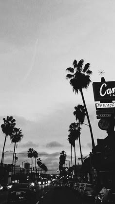 a black and white photo of palm trees in front of a neon sign that reads comcast