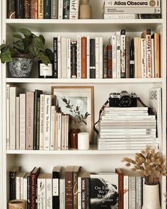 a bookshelf filled with lots of books next to a vase and potted plant