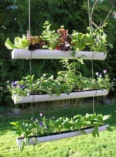 an outdoor garden with hanging plants and flowers