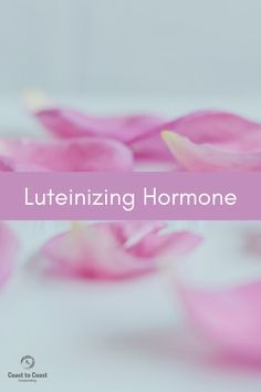 What is the luteinizing hormone? Luteinizing Hormone (LH) is an important hormone released by the pituitary gland that is crucial for our reproductive system. It’s one of the three glycoprotein hormones; the other two are thyroid-stimulating hormone and follicle stimulating hormone. LH is a gonadotropic hormone and controls the function of ovaries in women and Low Lh Hormone, Women Growth, Follicle Stimulating Hormone, Pituitary Gland, Polycystic Ovarian Syndrome, Love Challenge, Autoimmune Disorder, Nursing Notes, Hormone Levels