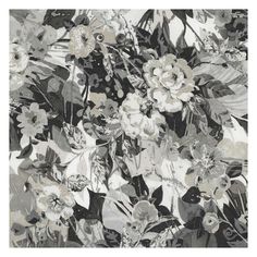 black and white flowers are shown in this artistic painting by artist susan schnitzer