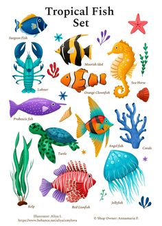 an illustration of tropical fish set with different types of sea animals and their names on it