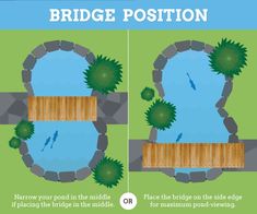 the bridge position and how to use it in your garden or pool design infographical