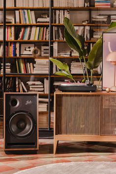 a living room with bookshelf, plant and speakers