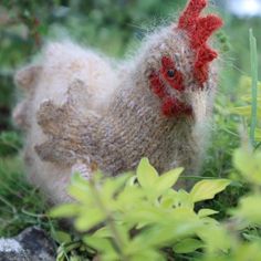 a close up of a chicken in the grass