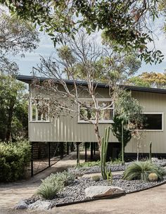 a house that is in the middle of some bushes and trees with a cactus growing out of it