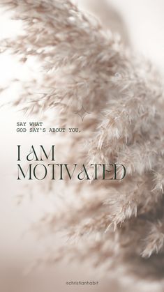 the cover of i am motivrated