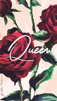 a red rose with the words queen on it