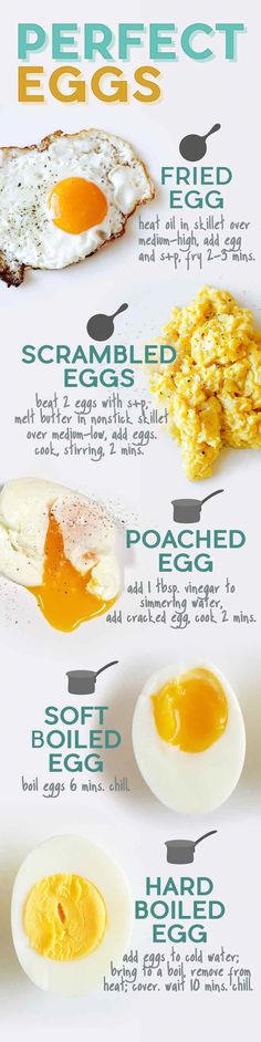 an image of different types of eggs