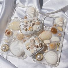 there are many seashells in the plastic case